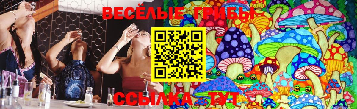 Галлюциногенные грибы Psilocybe  Галлюциногенные грибы ЛСД  Вход с VPN  Нижний Тагил 