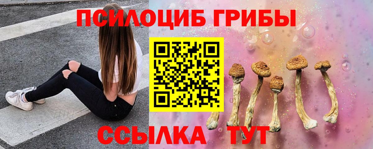 ГАШ Нижний Тагил
